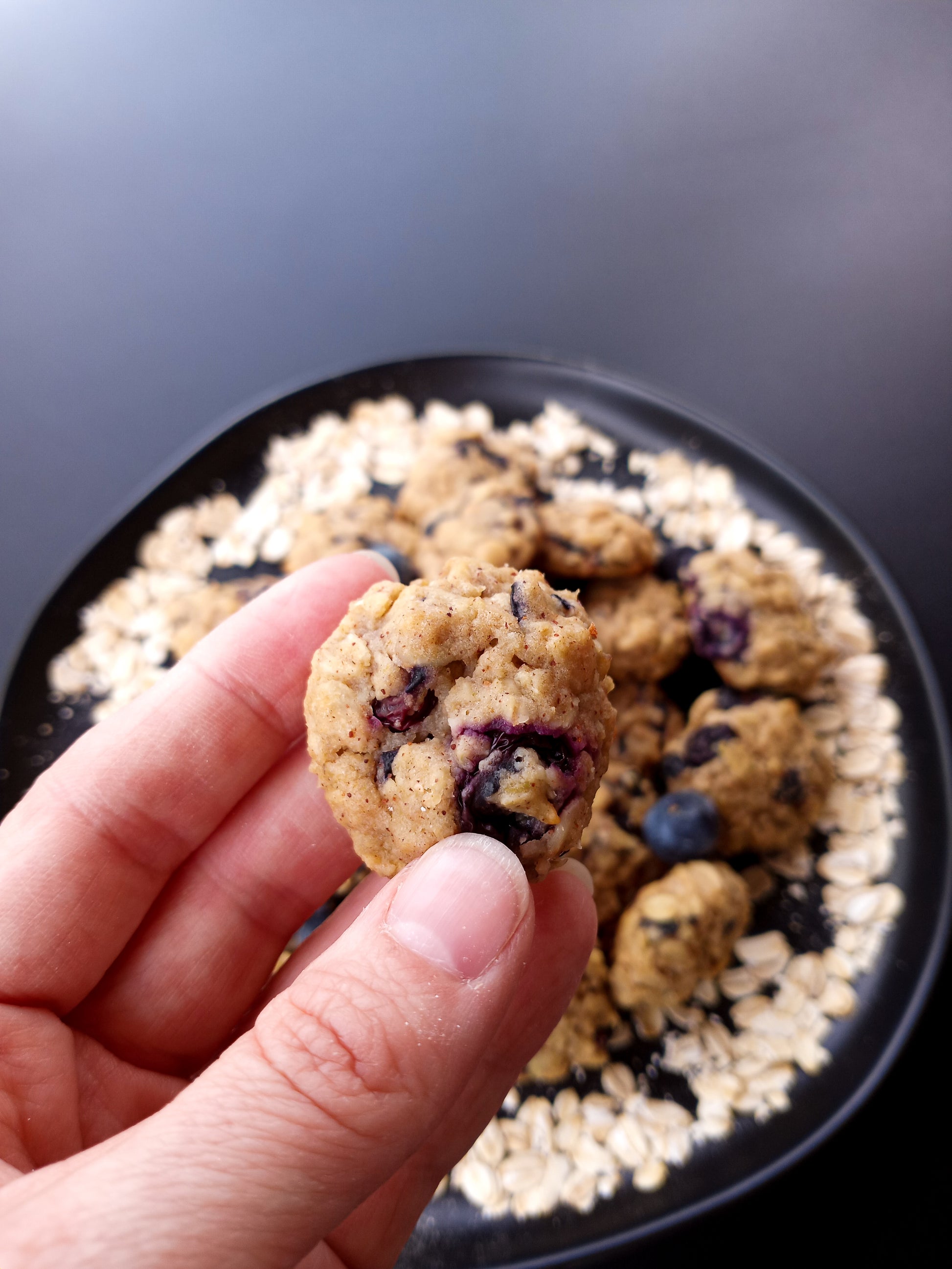 Soft Bluebery Oatmeal Cookies