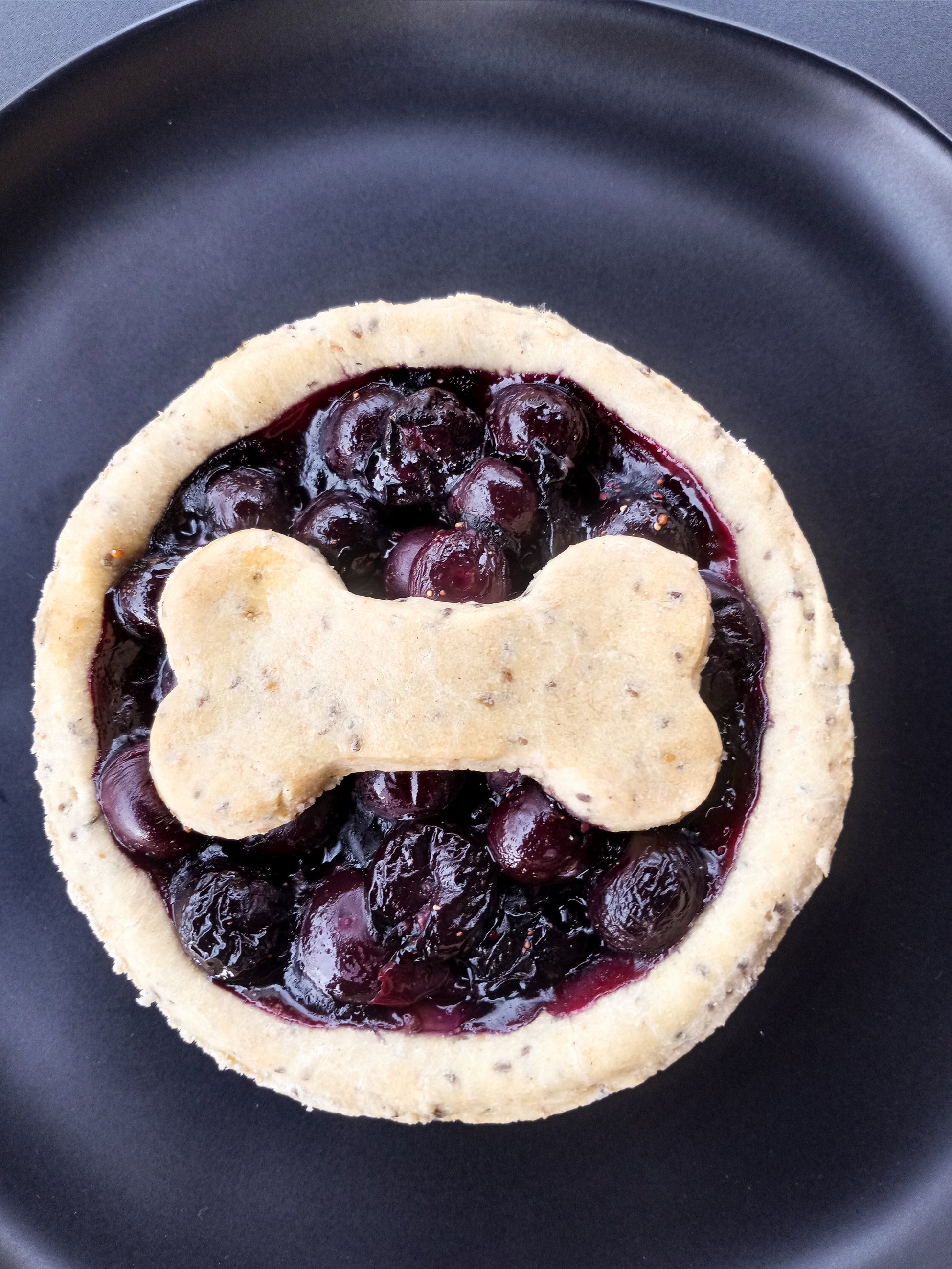 Blueberry Pie for dogs