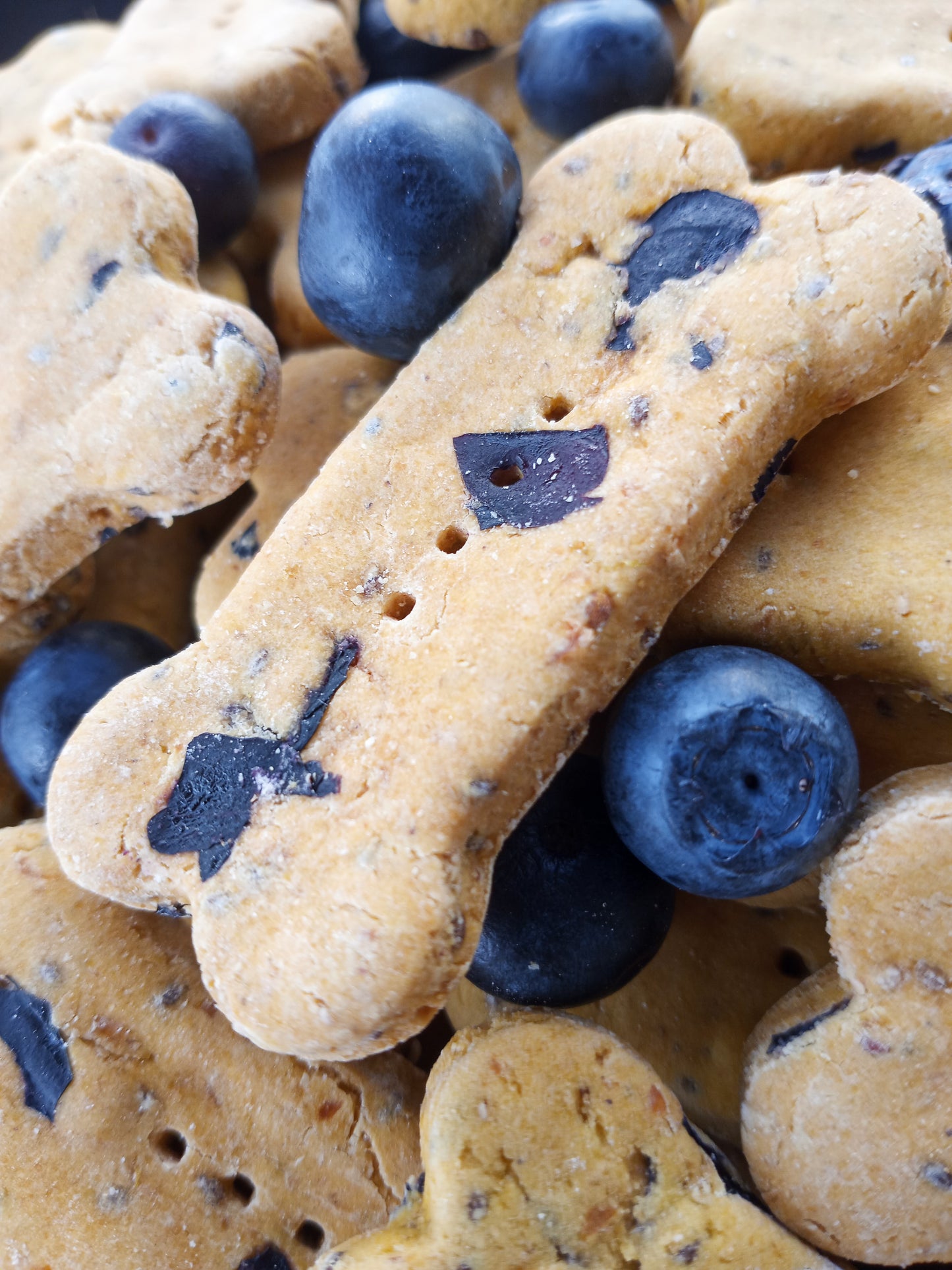Blueberry Pumpkin Biscuits