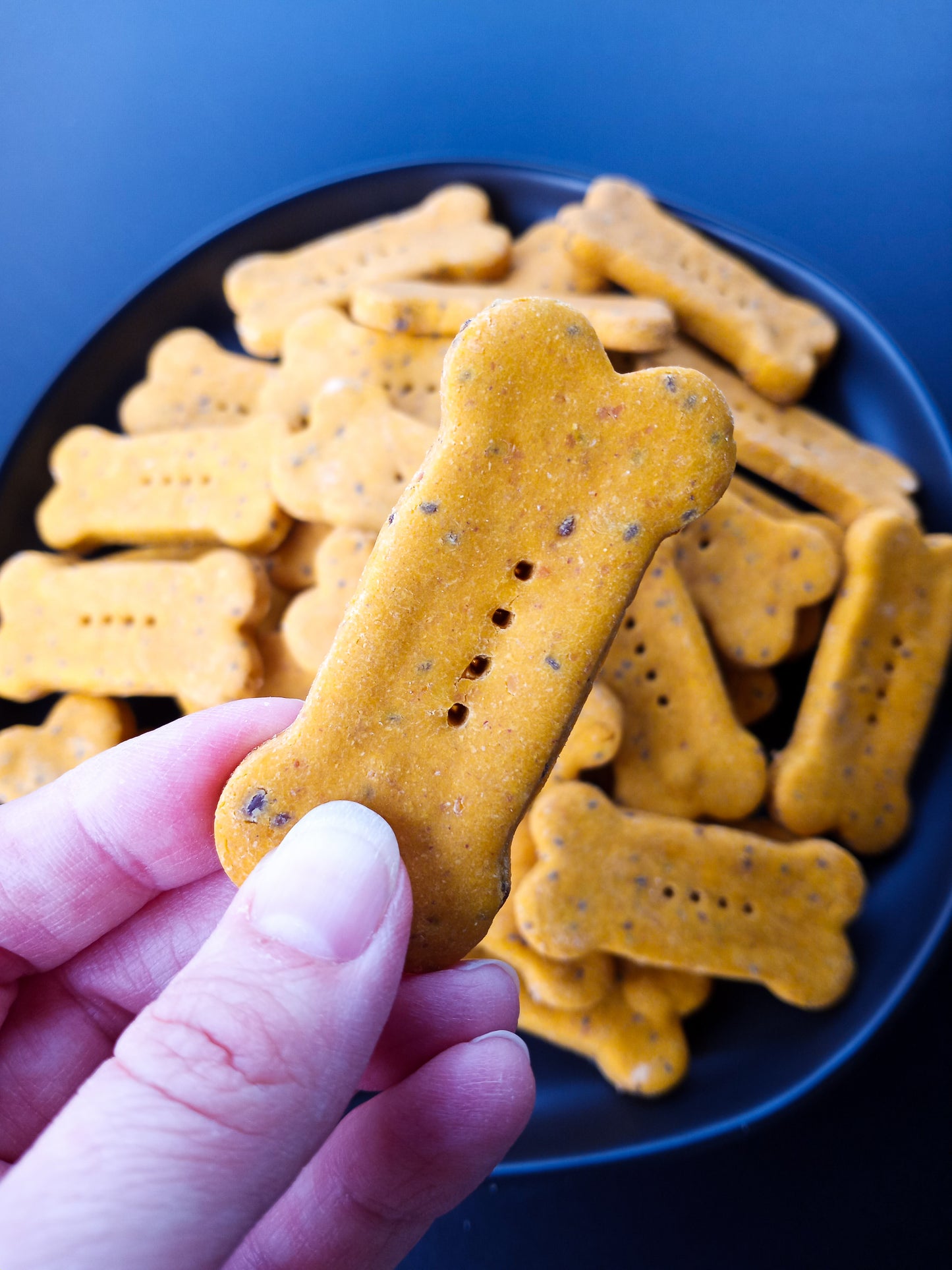 PB & Pumpkin Biscuits