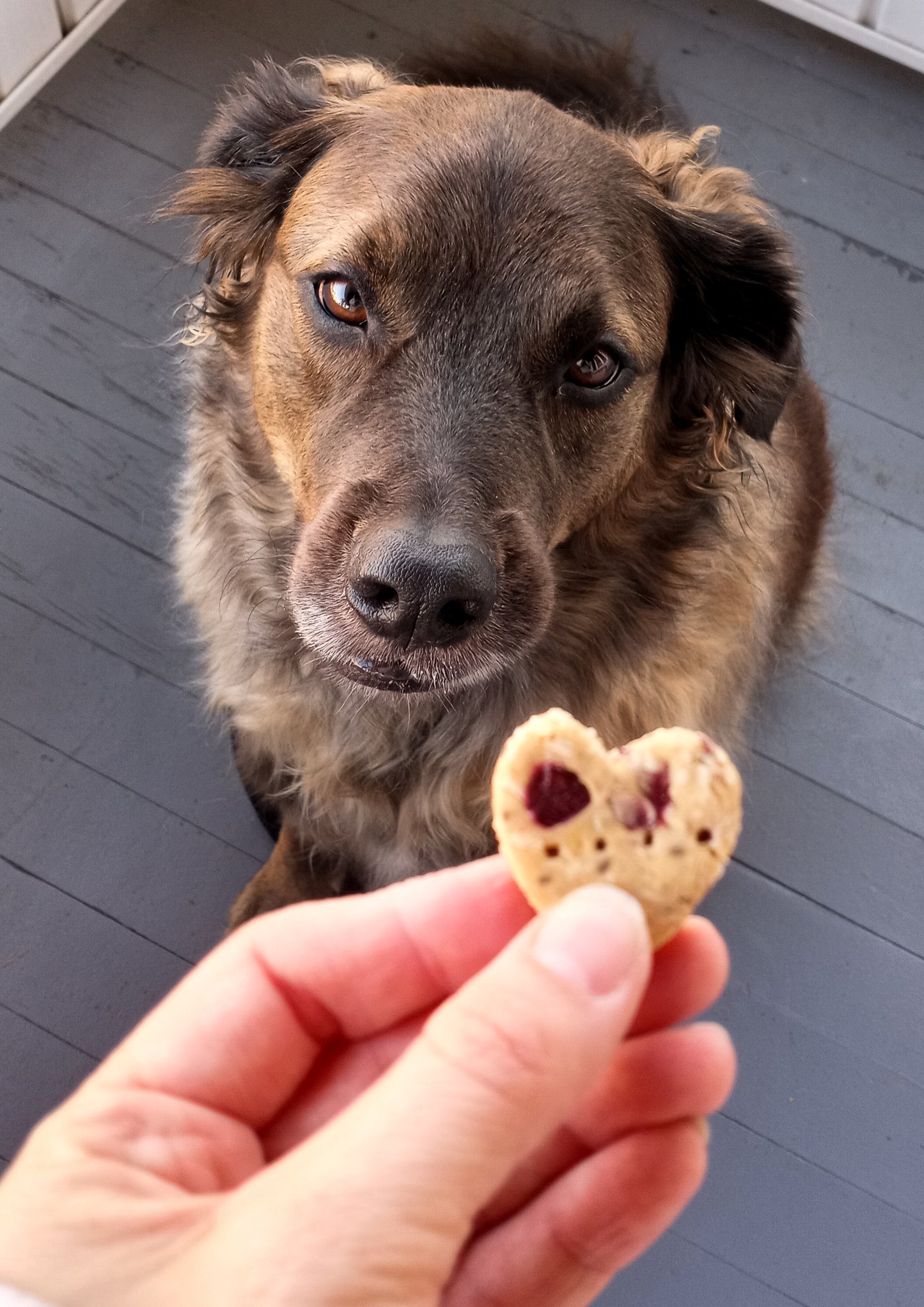 Winter Coconut & Cranberry Biscuits