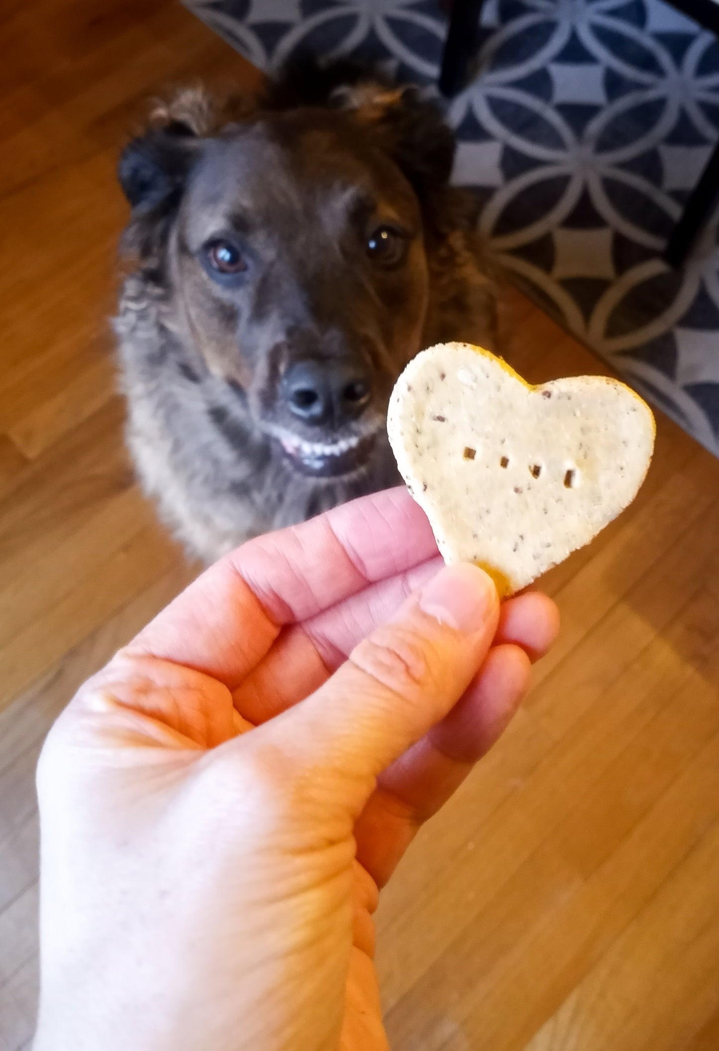 Storm with Roast Chicken Biscuits
