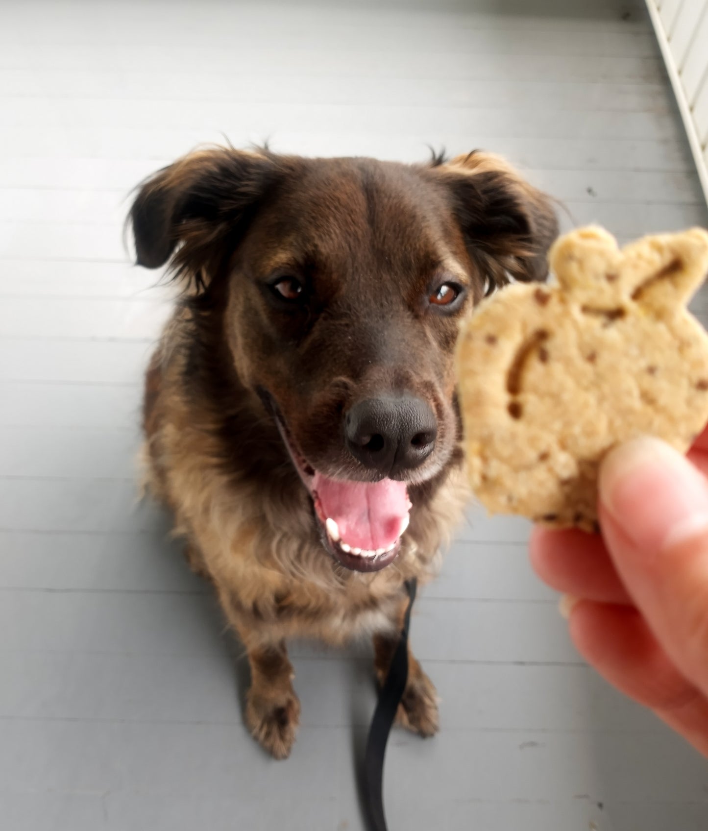 Storm with Apple Cinnamon Biscuits
