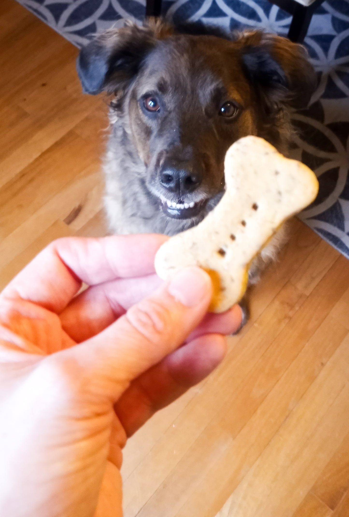 Storm with Apple Cheddar Biscuits