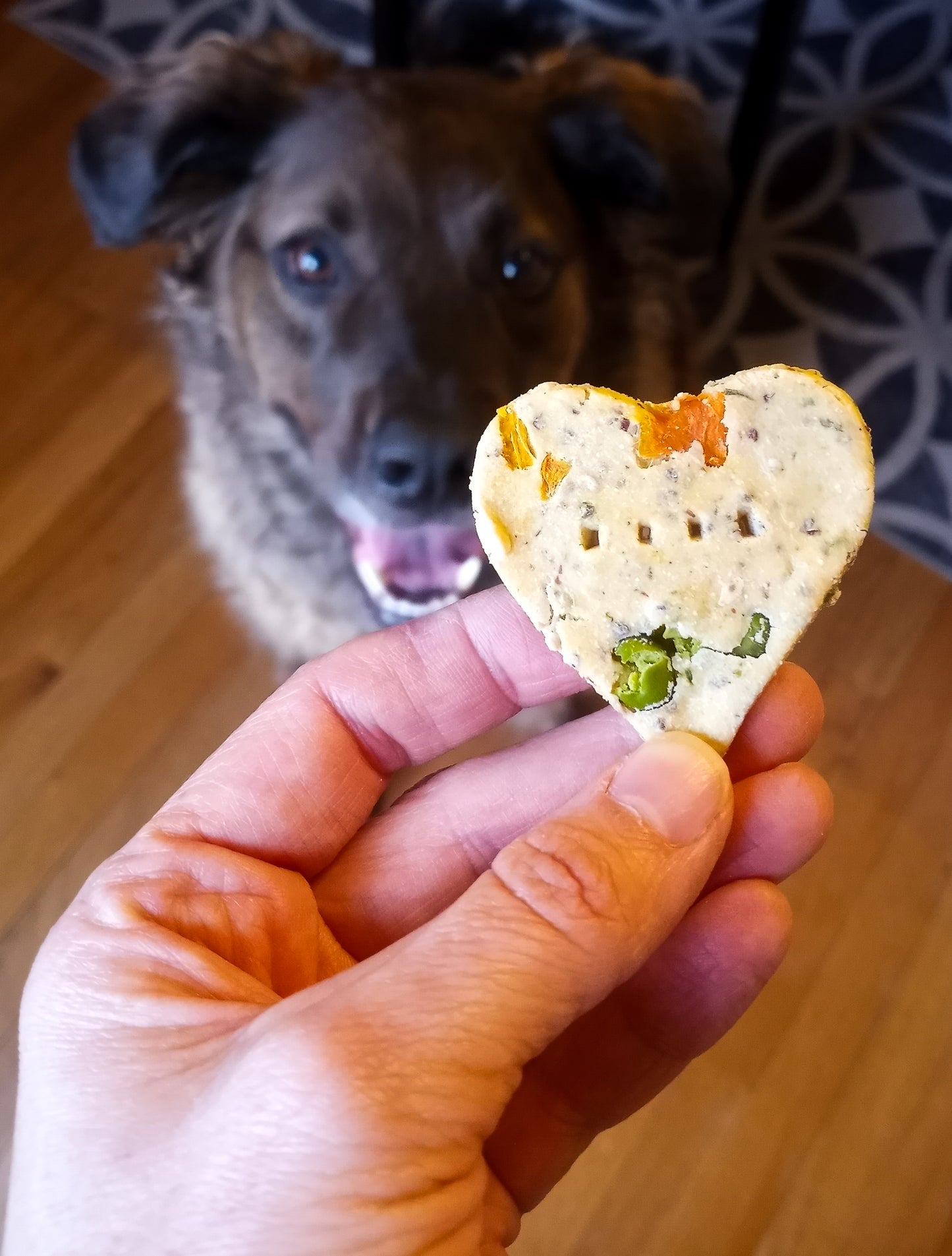 Storm with Beef Stew Biscuits