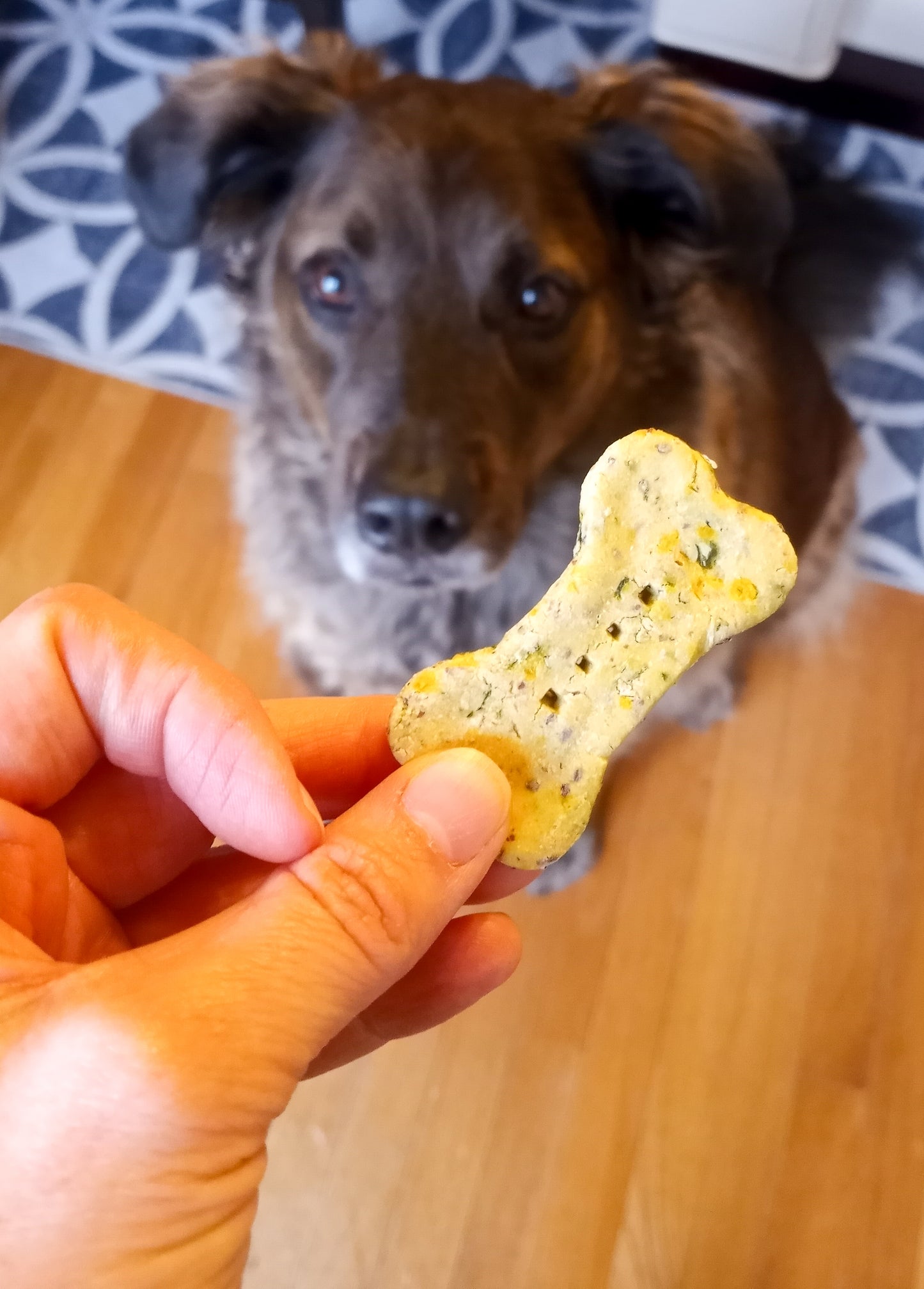 Storm with Stir Fry Biscuits