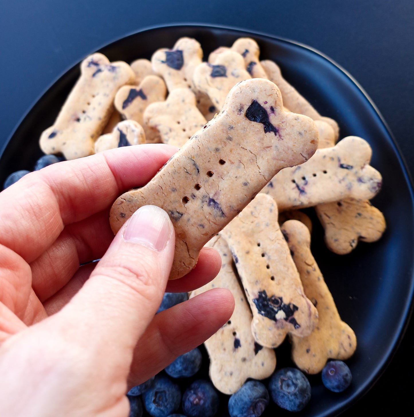 Blueberry Biscuits
