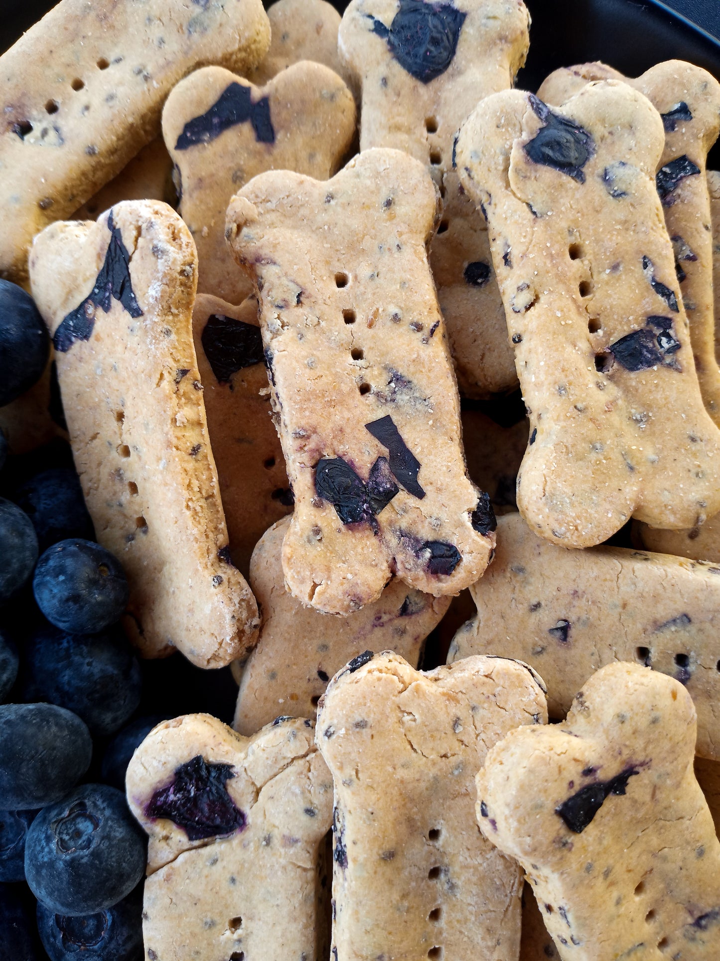 Blueberry Biscuits