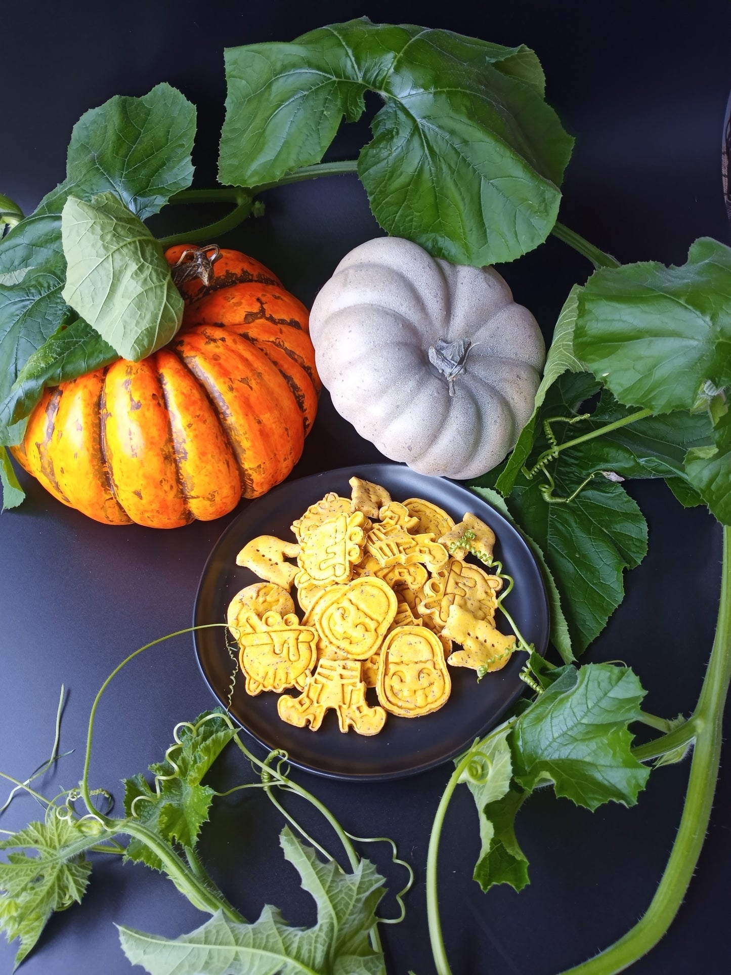 Plain Pumpkin Boo Bites Biscuits