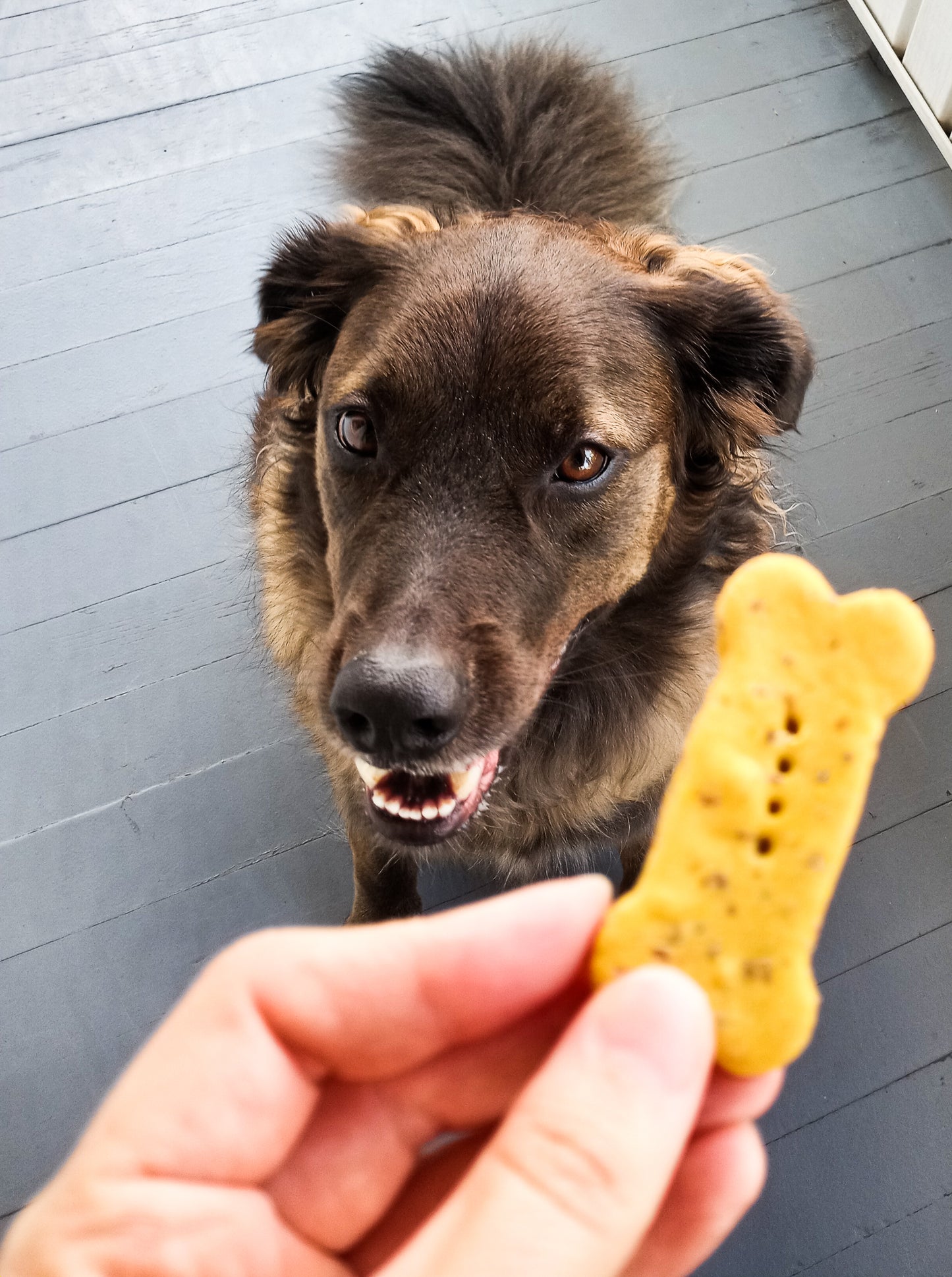 Sweet Potato Biscuits