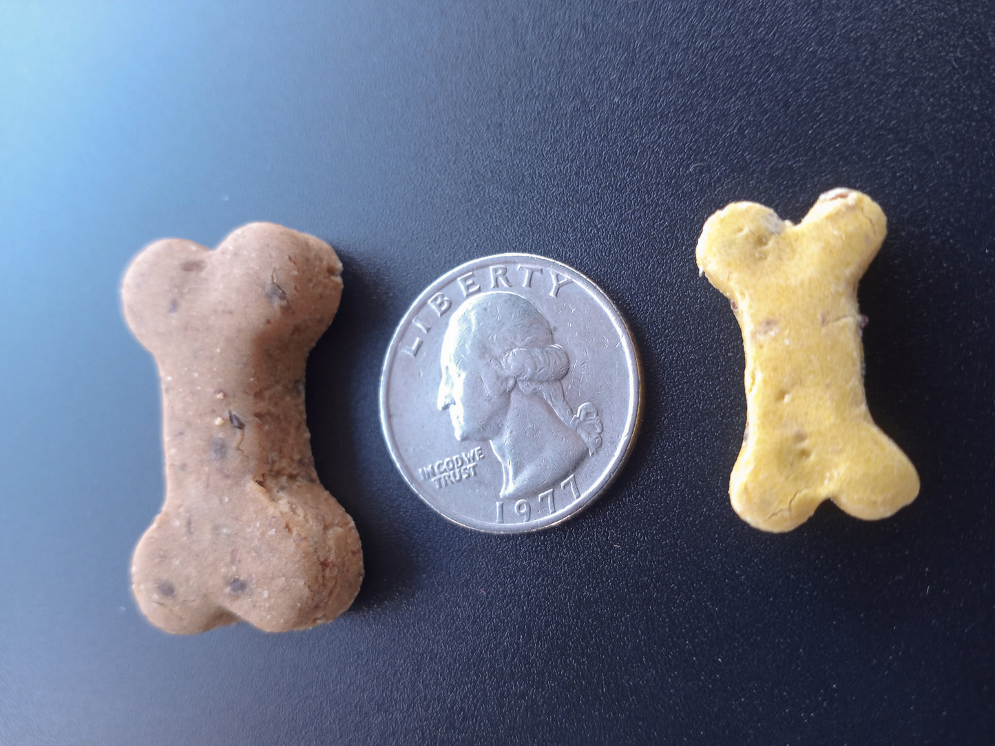 Binky Bones. Teeny Tiny Biscuits.