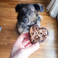 Storm with Carob & Pumpkin Brownies for Dogs