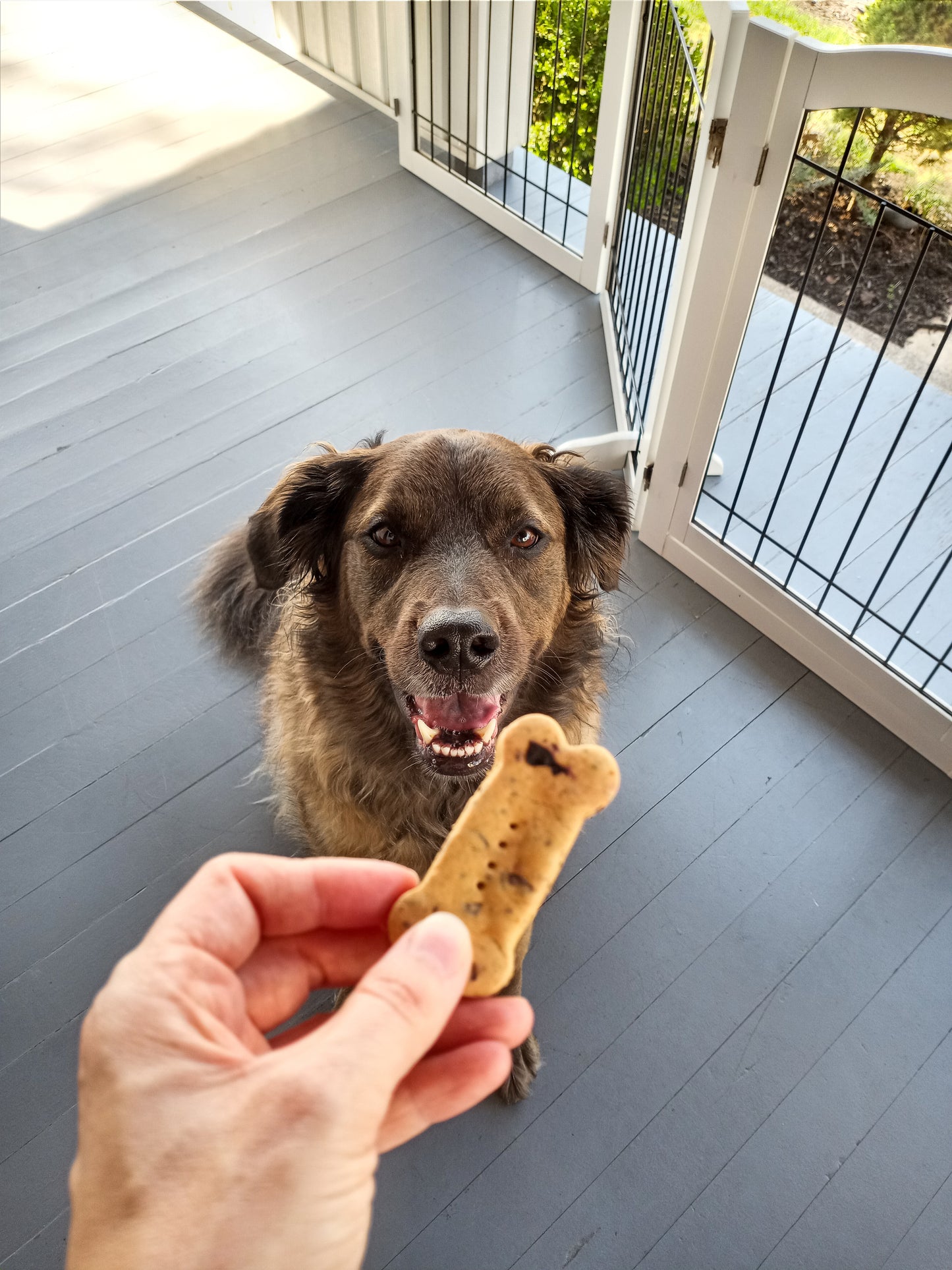 Storm smiling at a Blueberry Biscuit