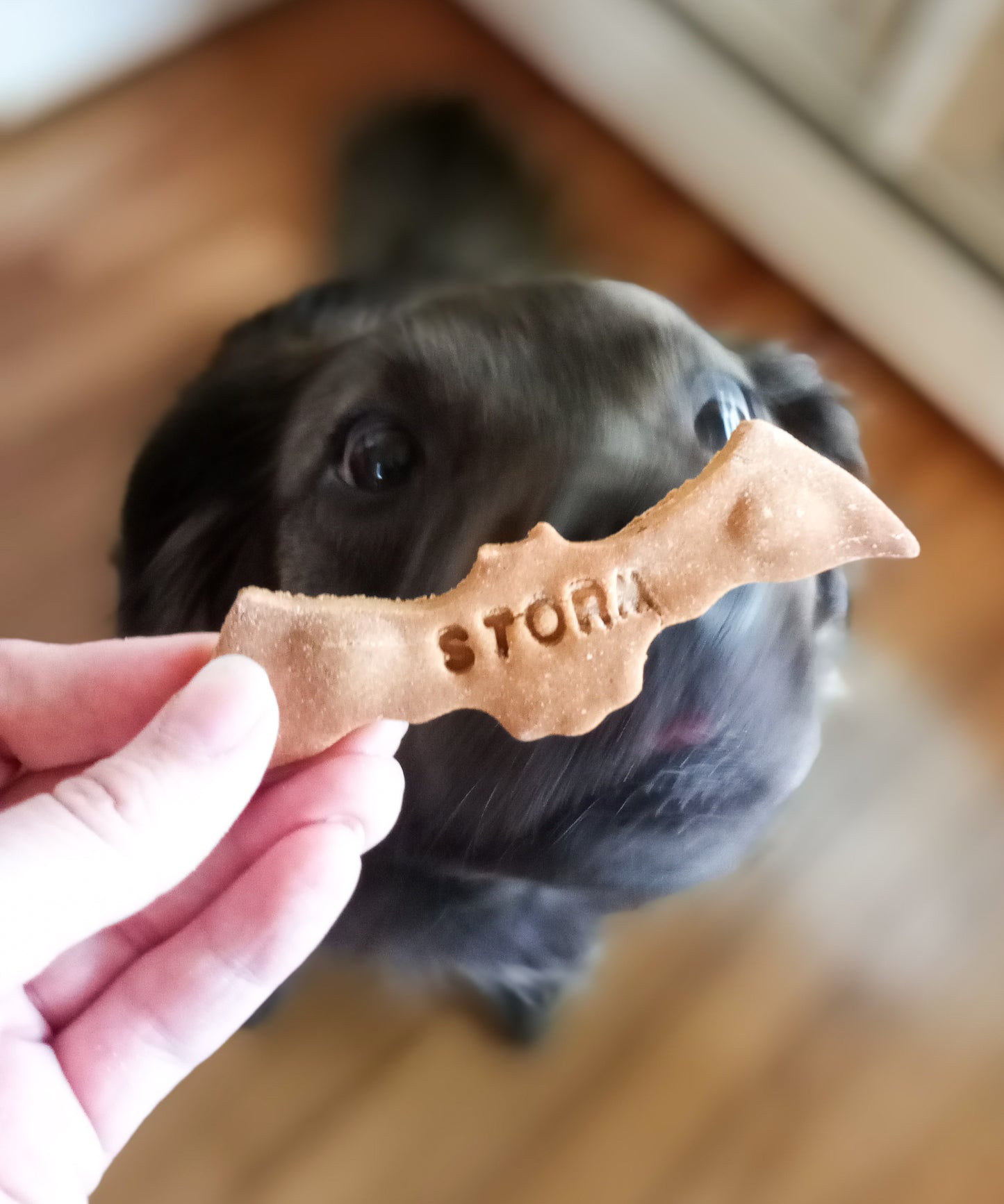 Carob PB Bat Cookies