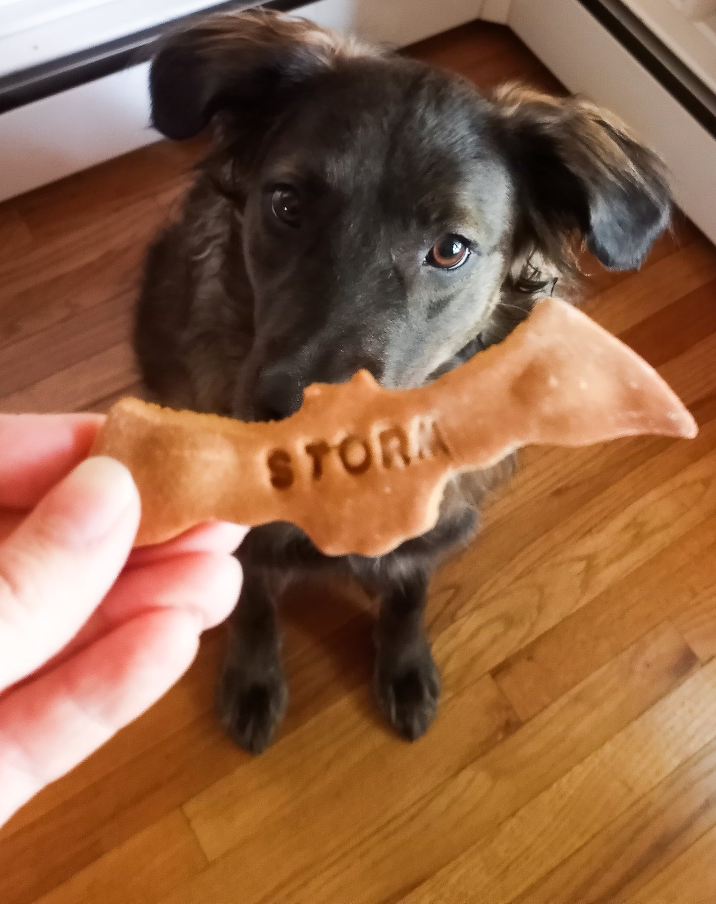 Carob PB Bat Cookies