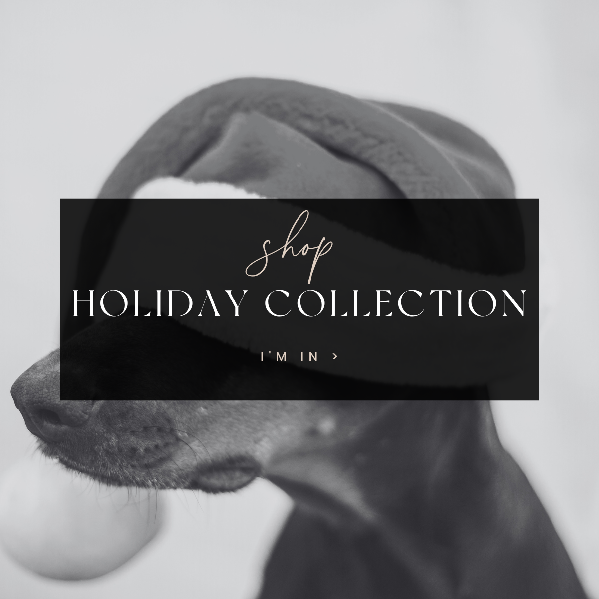 Holiday Collection