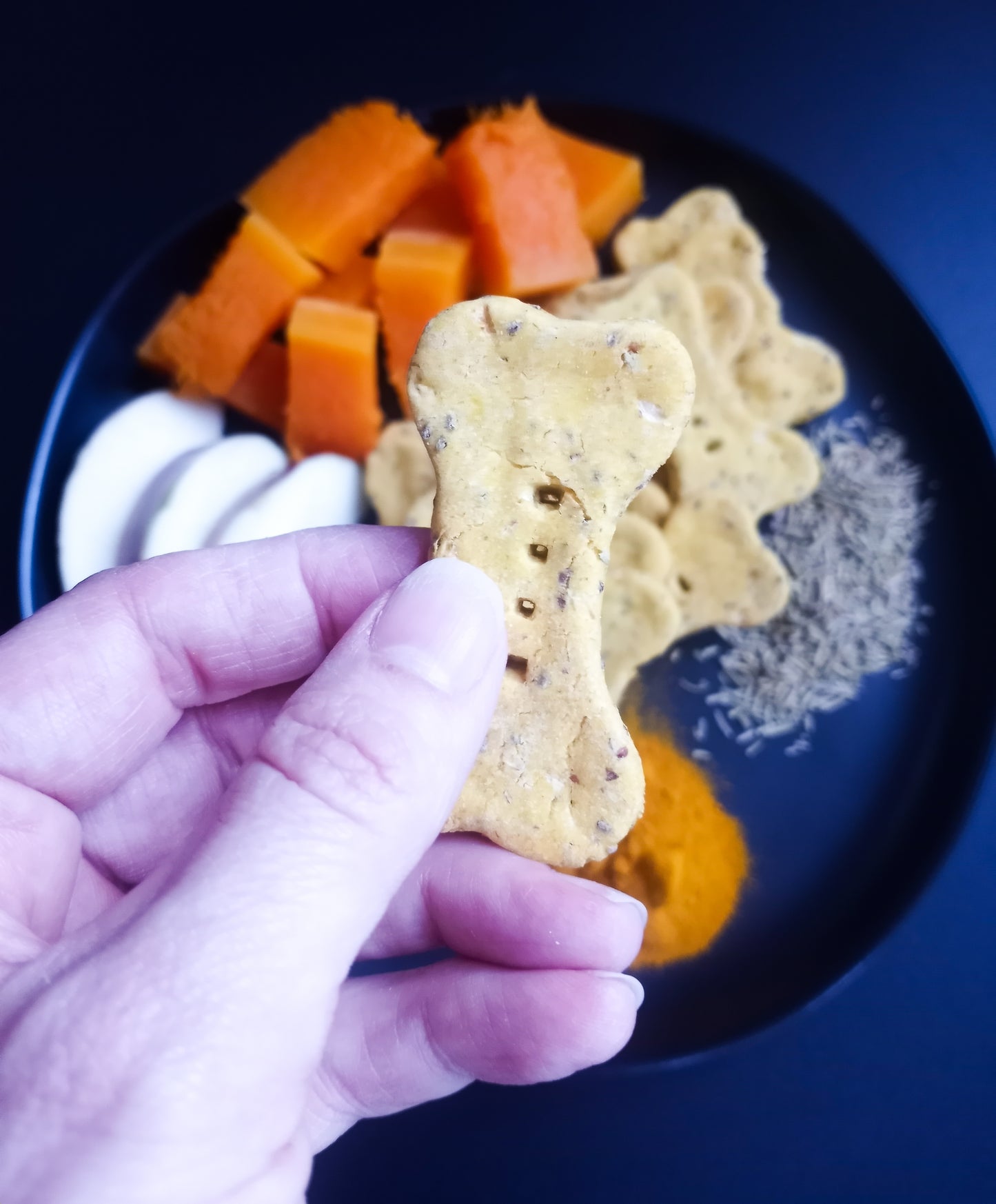 Butternut Squash Stew Biscuits