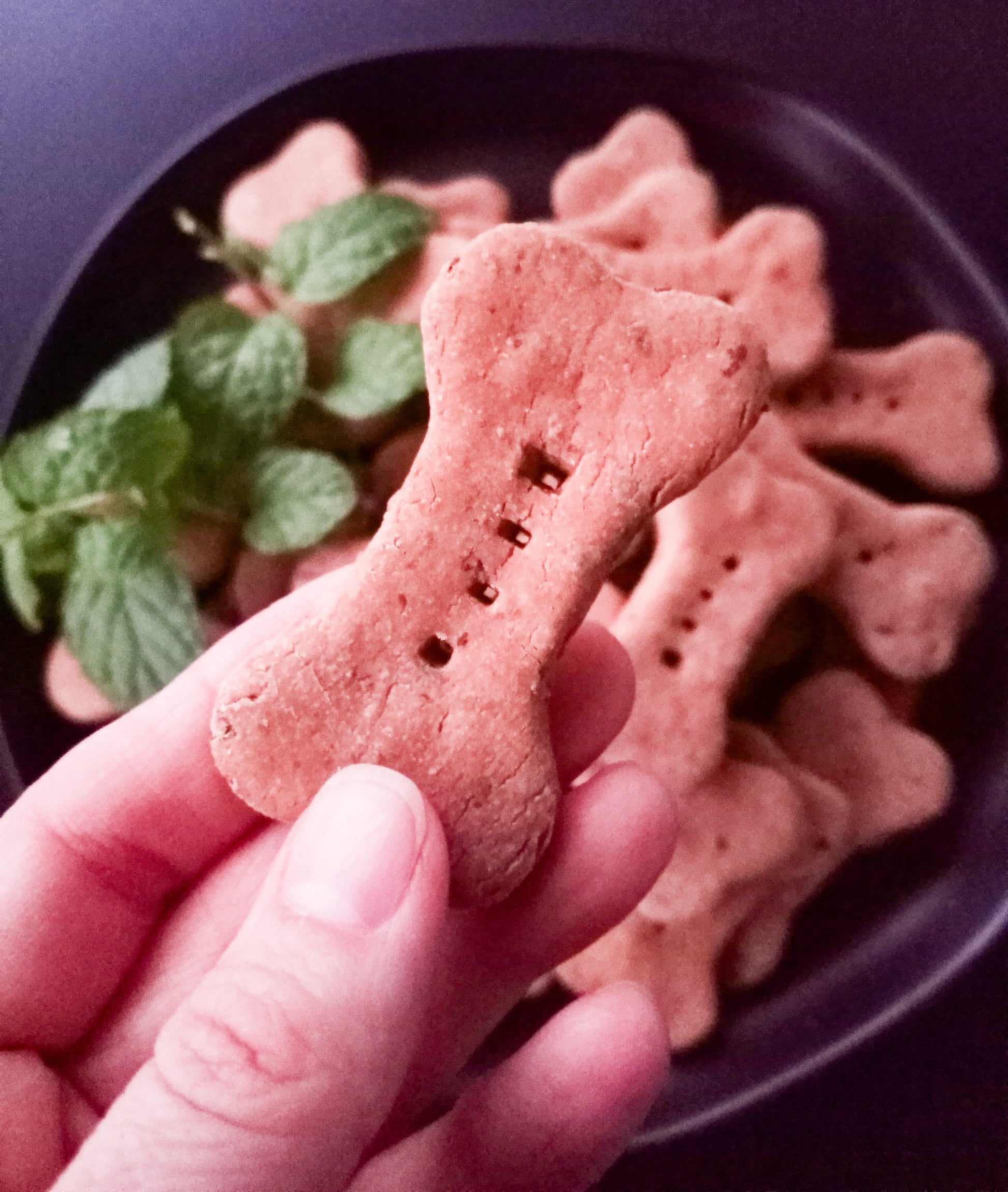 Mint "Chocolate" Biscuits