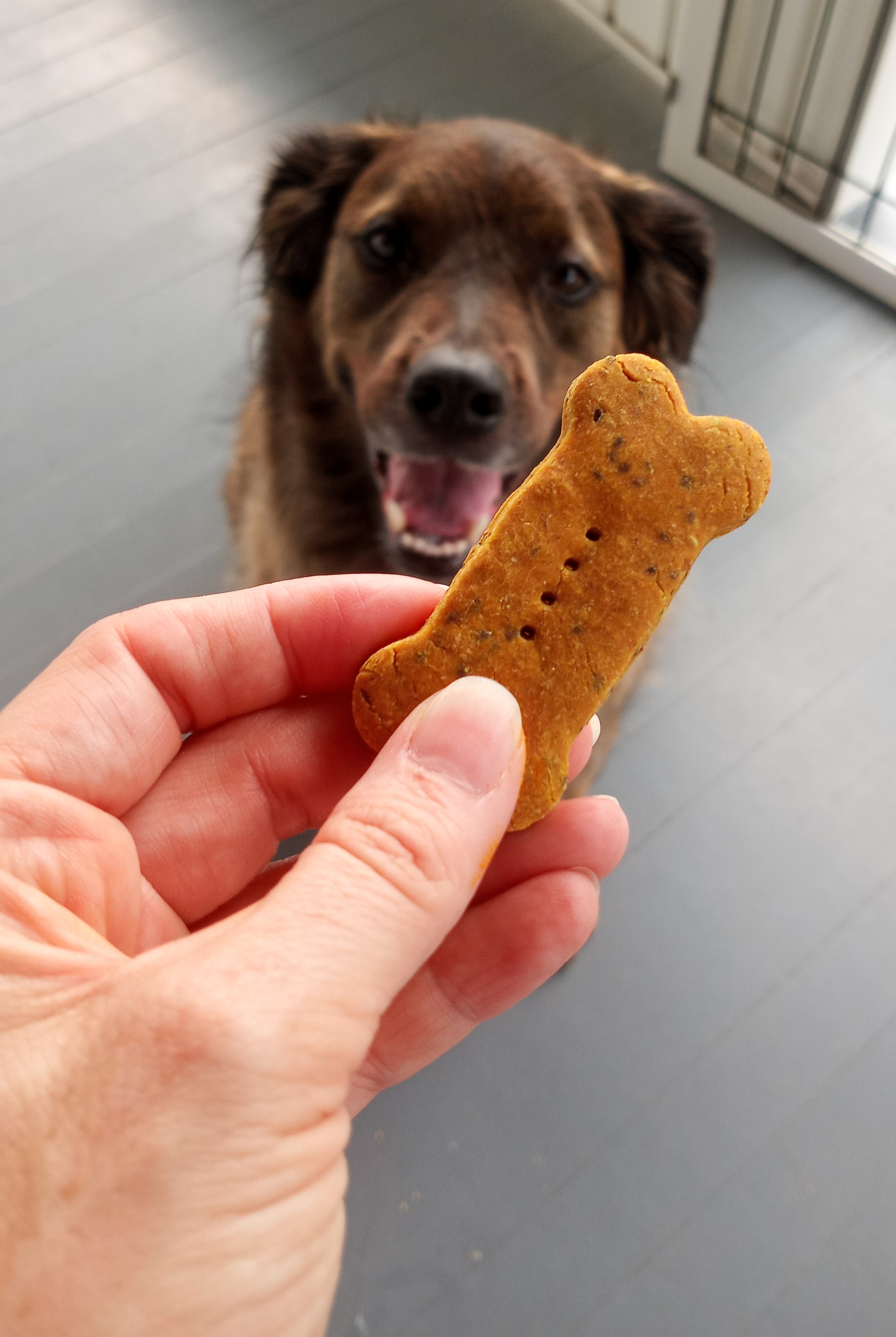 Storm with PB Turmeric Biscuits