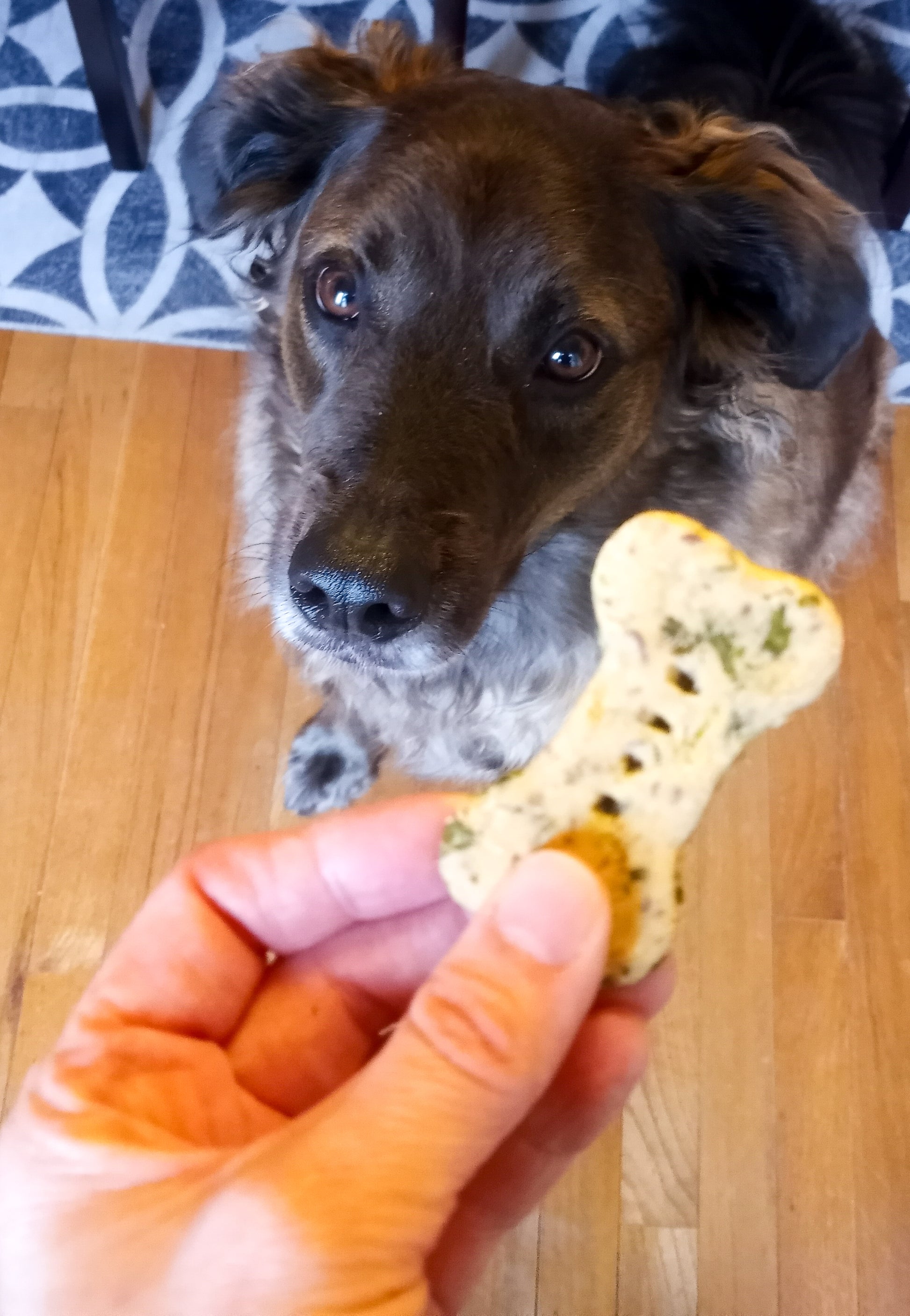 Storm with Kale & Apple Biscuits